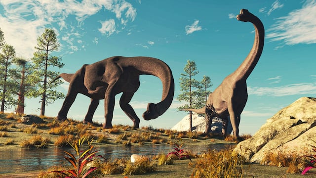 El curioso pedido de un argentino para que agreguen dinosaurios en la bandera de Neuquén.