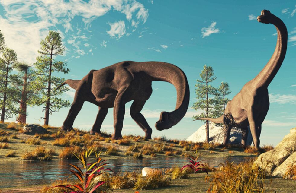 Con un nuevo descubrimiento, se logró formar el primer abecedario de los dinosaurios argentinos