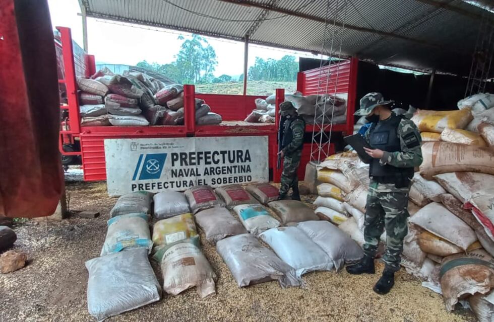 El Soberbio: nuevamente incautaron toneladas de soja ilegal