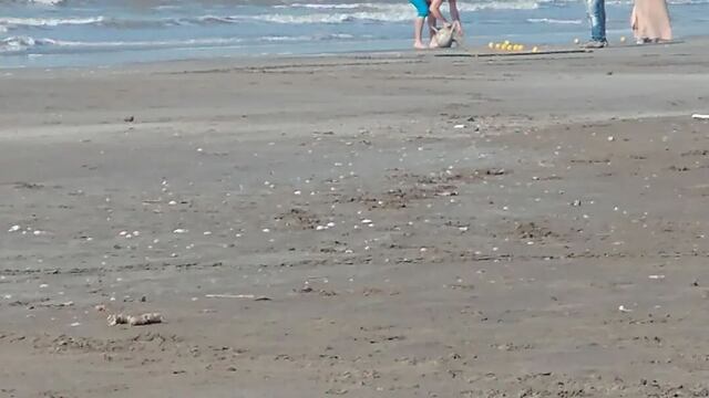 El hecho ocurrió en una playa de Mar del Tuyú