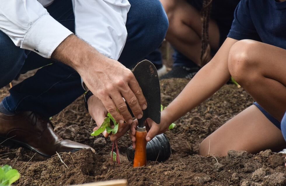Huertas familiares: consumo saludable y economía familiar