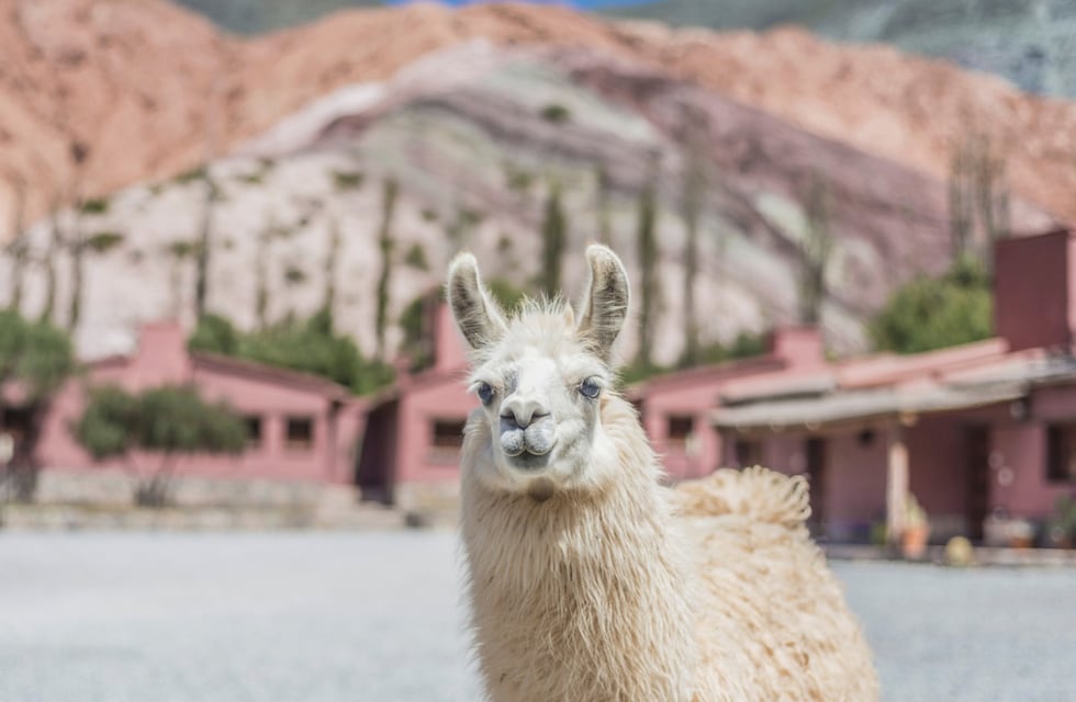 Jujuy en verano: claves para disfrutar las maravillas de la Quebrada de Humahuaca