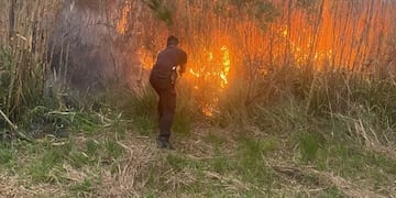 Disminuyen los incendios en Misiones, pero el riesgo permanece alto.