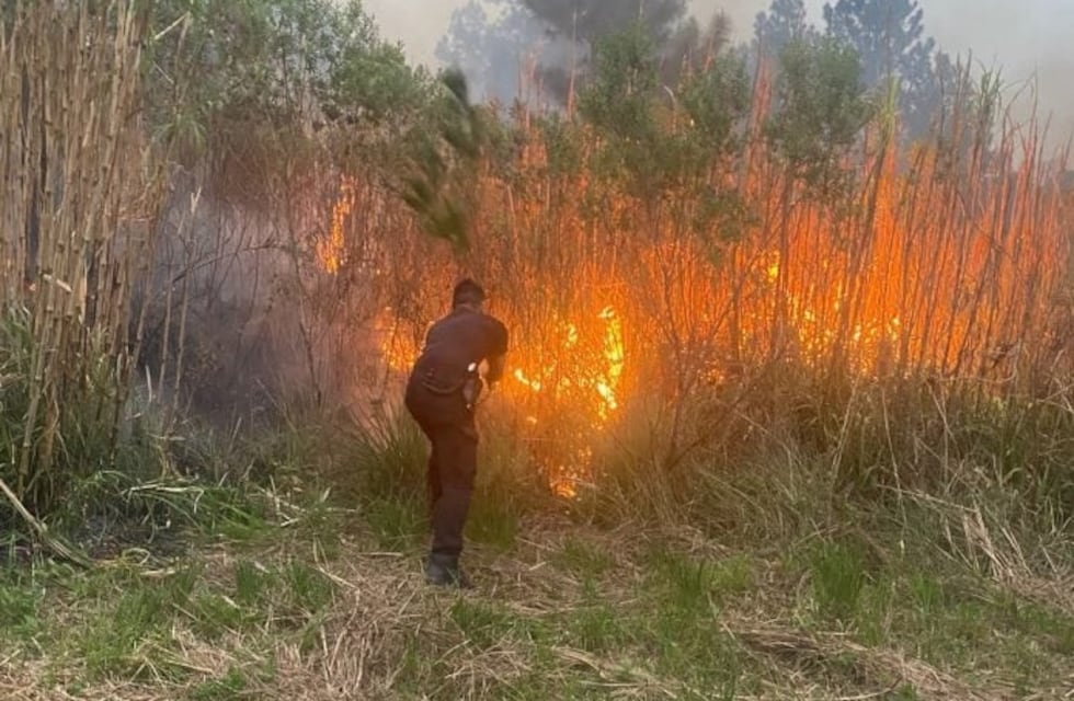 Disminuyen los incendios en Misiones, pero el riesgo permanece alto