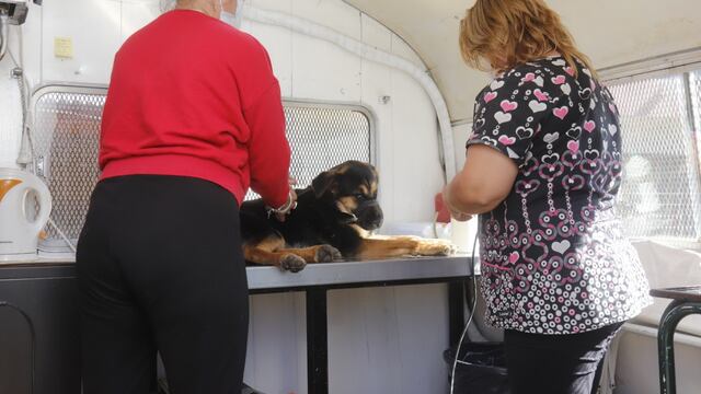 Quirófano móvil en el Distrito Sur de Villa Carlos Paz.