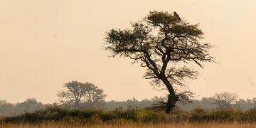 Parque Nacional Ansenuza.