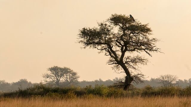 Parque Nacional Ansenuza.
