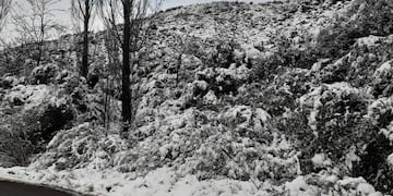 Nieve- Foto: analia.correa.790