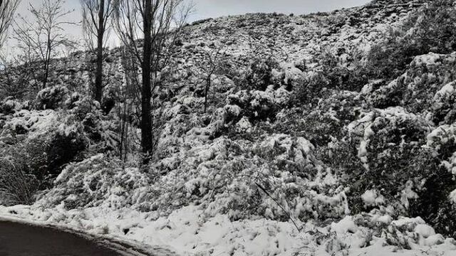 Nieve- Foto: analia.correa.790