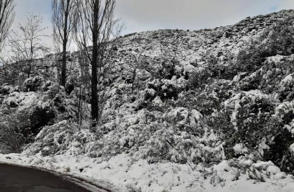 Vallecitos se pintó de blanco y se llenaron de fotos las redes