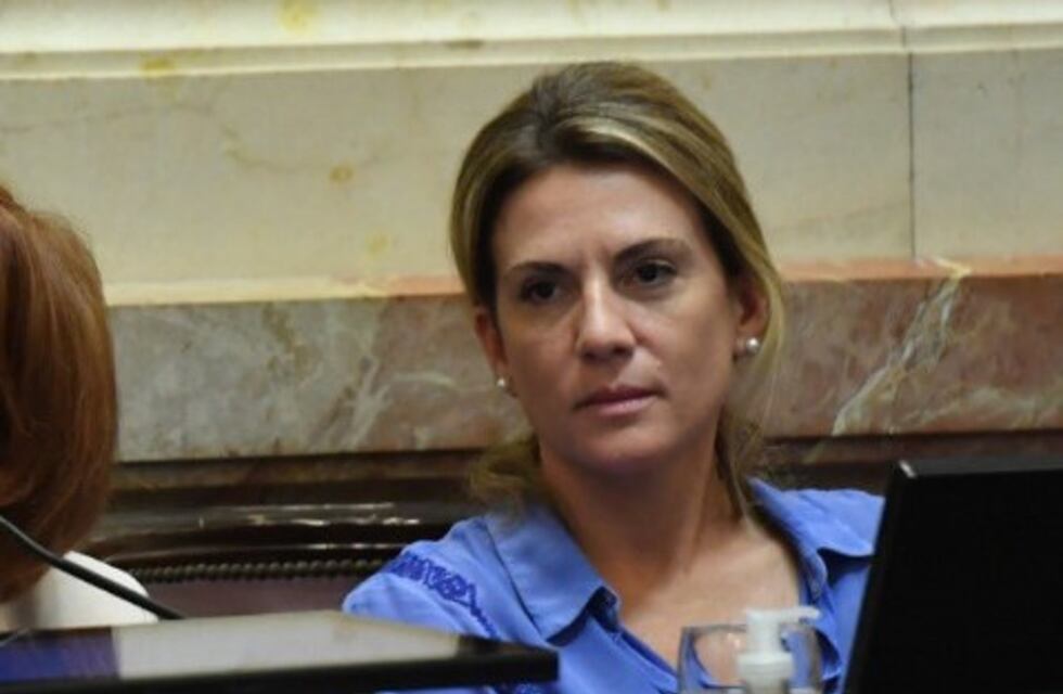 Papelón en el Senado: una funcionaria de San Luis involucrada
