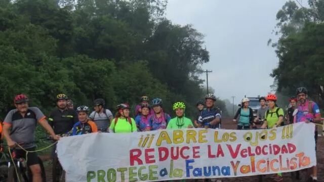 Exitosa jornada de concientización sobre atropellamiento de fauna silvestre en Wanda.