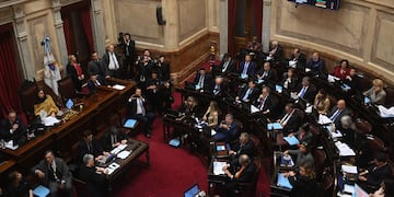 El Senado de la Nación este jueves, en otra maratónica sesión incómoda para el Gobierno. (Gentileza Clarín)