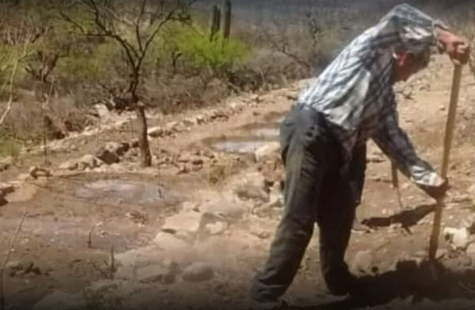 “Hago changas por un plato de comida”: la publicación de un salteño que conmovió en las redes