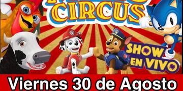 Magic circus