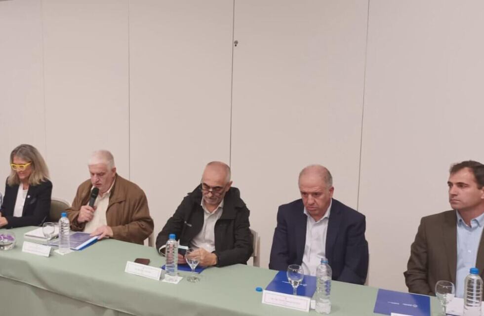 Achaparramiento del maíz: fomentan acciones de manejo integrado para solucionar el problema