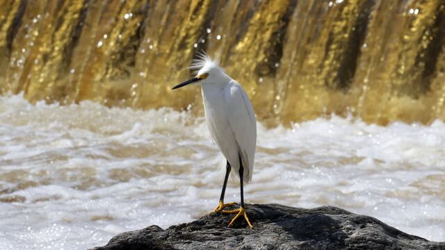Río El Fantasio, Carlos Paz