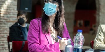 La ministra de Salud del Chaco dio detalles de los temas abordados durante la reunión del Cofesa.