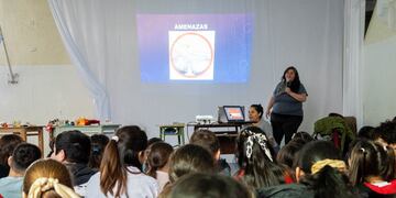 Programa de Gestión Integral de Riesgo Escolar en Tierra del Fuego