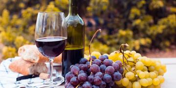 Desde el INV se conoció el informe que indica que el consumo de vinos durante el 2020 creció en el país el 6,5% respecto de 2019. Gentileza