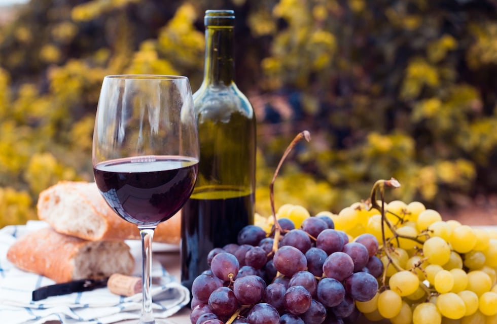 El consumo de vino en el 2020 fue el más alto de los últimos 5 años