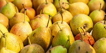 Peras.