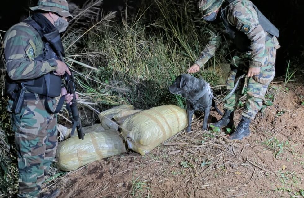 Secuestran cargamentos de marihuana y cigarrillos en Montecarlo, Puerto Rico y Puerto Libertad