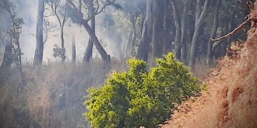 Se recuerda que ante cualquier emergencia se debe llamar al 103 (Defensa Civil) o al 100 (Bomberos).