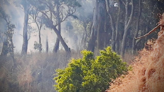Se recuerda que ante cualquier emergencia se debe llamar al 103 (Defensa Civil) o al 100 (Bomberos).