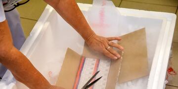 Distribución de vacunas en la Argentina. (@gobsantafe)