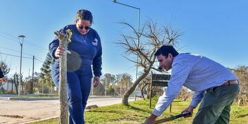 Un municipio entrerriano lleva adelante la plantación de 100 árboles de diferentes especies