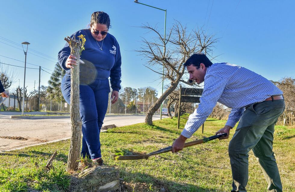 Semana del Árbol: un municipio entrerriano lleva adelante la plantación de 100 árboles de diferentes especies