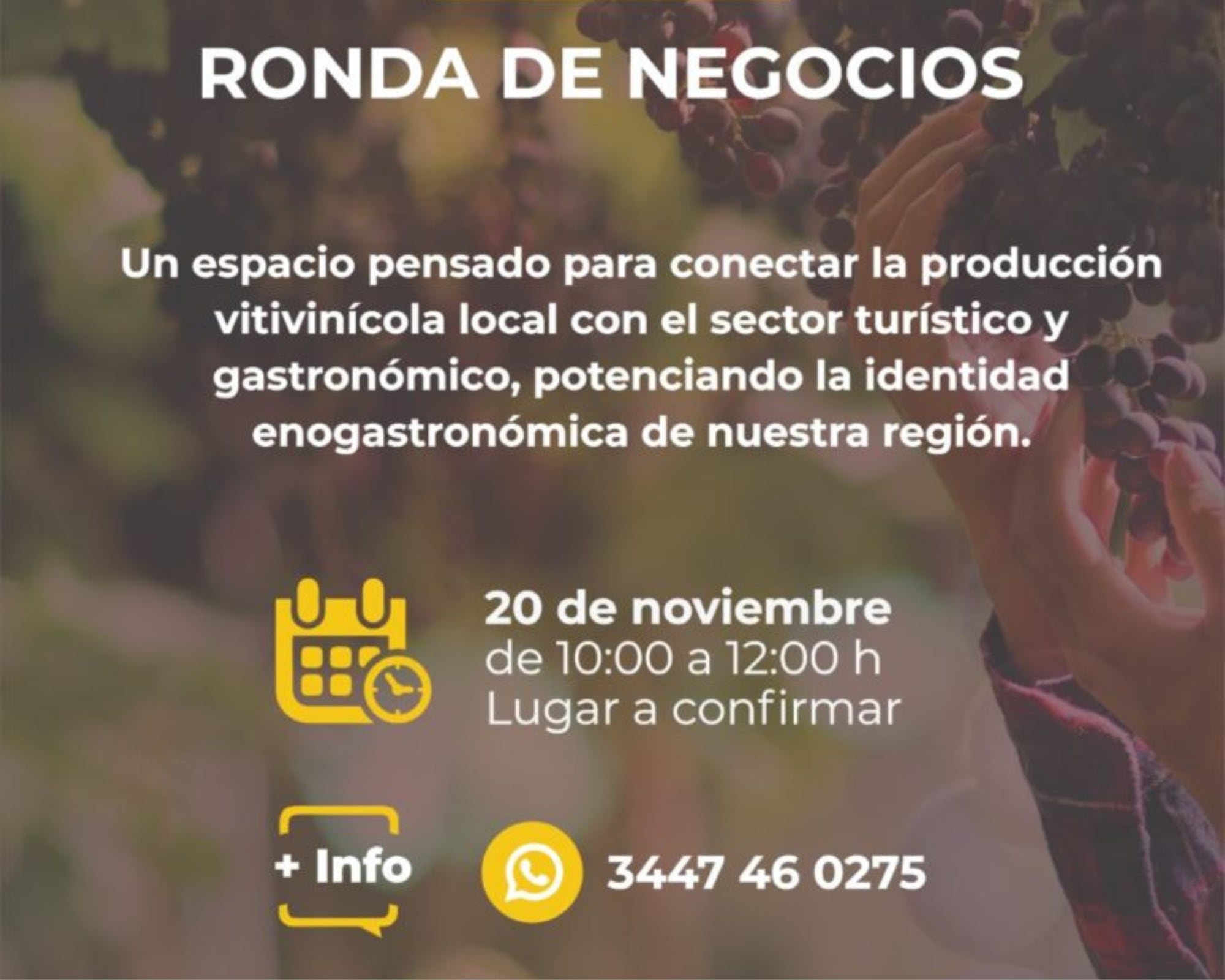 Ronda de Negocios enogastronómica
