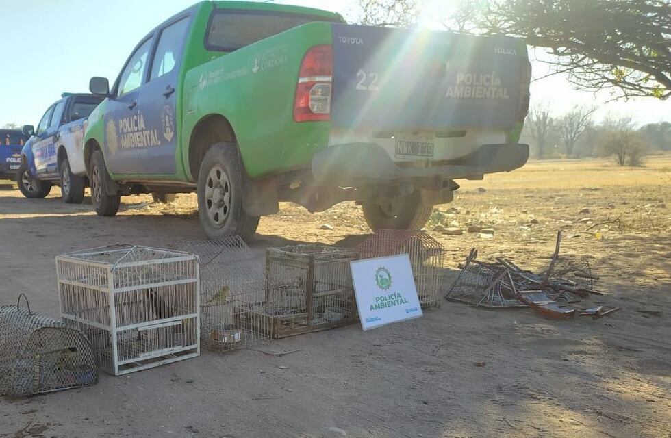 Secuestro de vehículos, animales y elementos provatorios