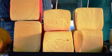 El queso producido en Misiones gana en calidad y mercado
