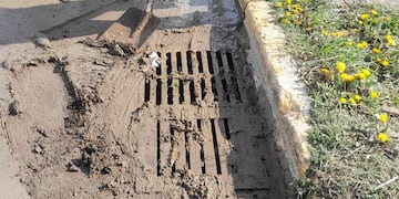 La Secretaría de Medio Ambiente realizó Operativo Limpieza por el desborde del Arroyo Buena Esperanza.