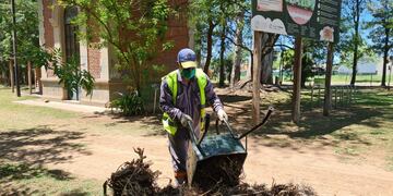 La Municipalidad afirma que hizo trabajos de mantenimiento en el Bosquecito Besaccia
