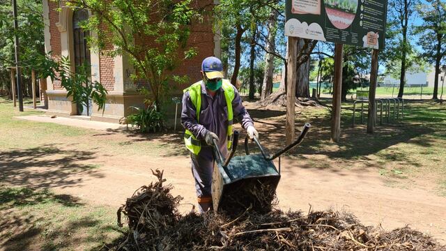 La Municipalidad afirma que hizo trabajos de mantenimiento en el Bosquecito Besaccia