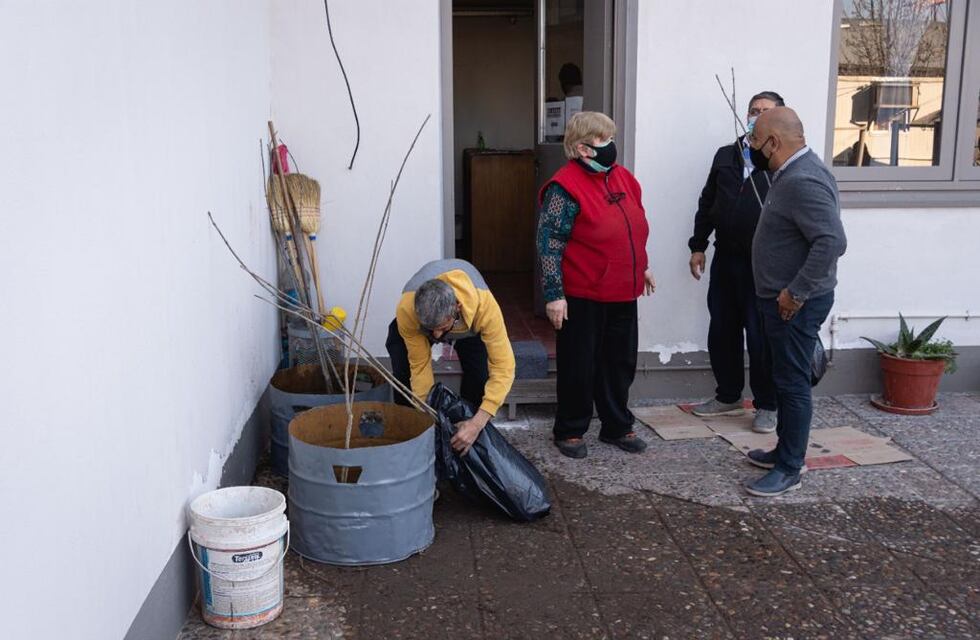 Por cada árbol que se erradica le entregan uno sin cargo al vecino para reforestar