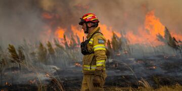 Los incendios en Corrientes ya arrasaron con 800 mil hectáreas.