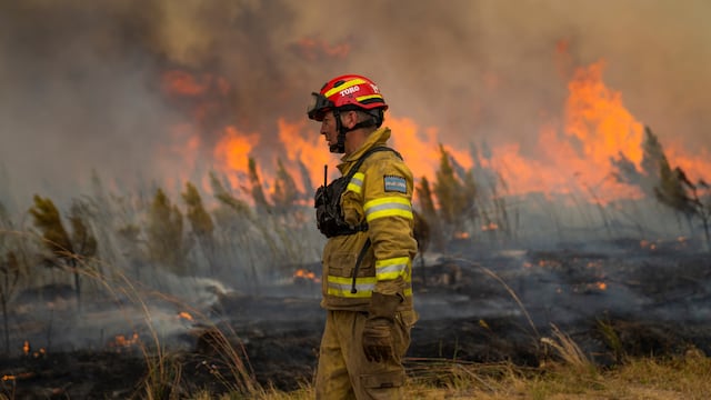 Los incendios en Corrientes ya arrasaron con 800 mil hectáreas.