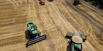 Agricultores cosechan con maquinaria un campo de trigo en Ucrania el 21 de julio de 2021.
 (AP /Archivo)