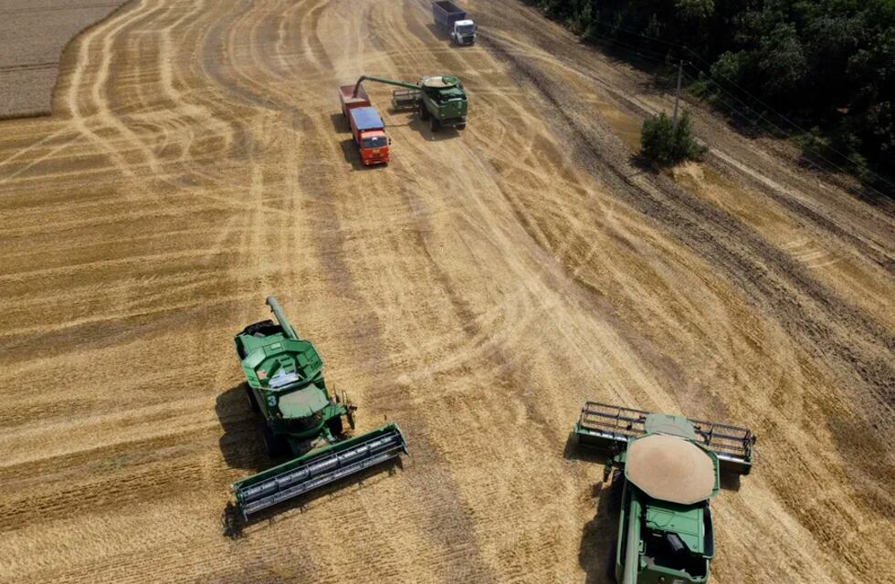 Situación de la Ucrania agrícola