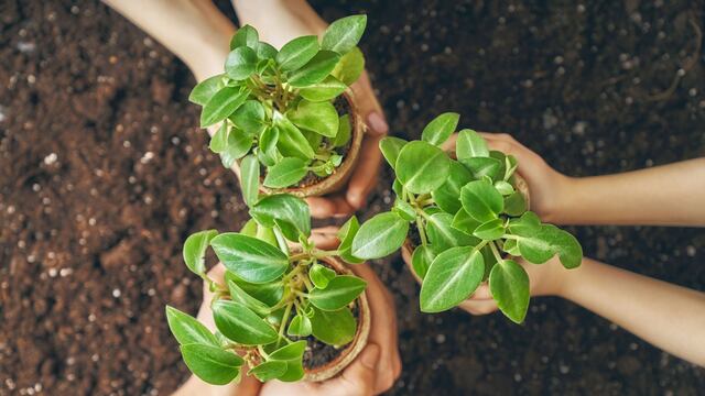 Ley de Educación Ambiental