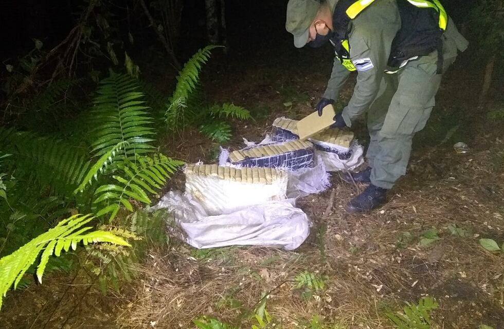 Gendarmería secuestró 50 kilos de marihuana