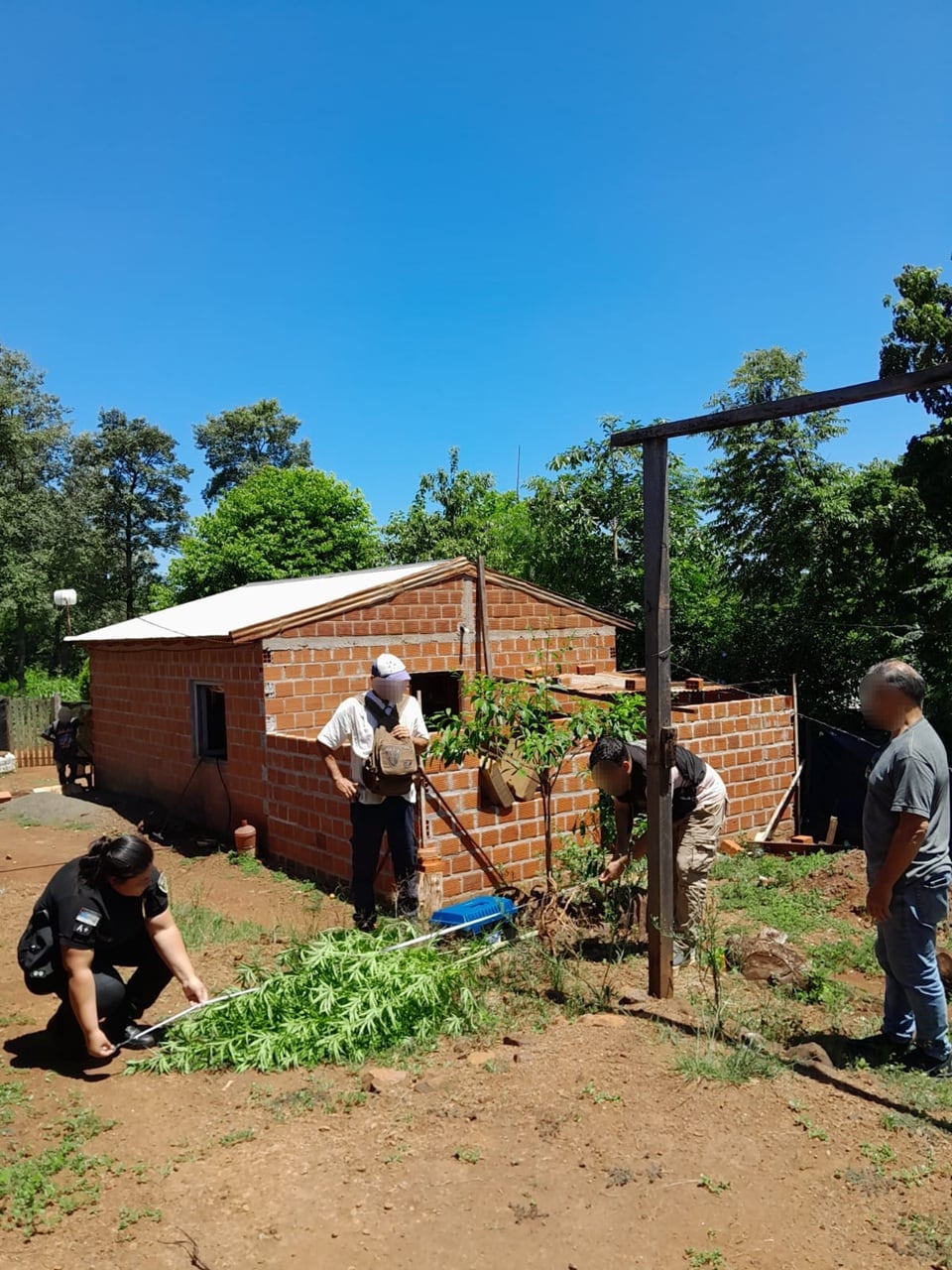 Secuestraron más de 11 kilos de marihuana en una vivienda de Leandro N. Alem.