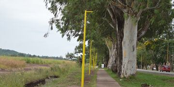 El tendido eléctrico de la ciclovía del acceso sur de San Pedro de Jujuy nuevamente fue objeto de robo: ladrones cortaron y se llevaron más de 150 metros de cables.