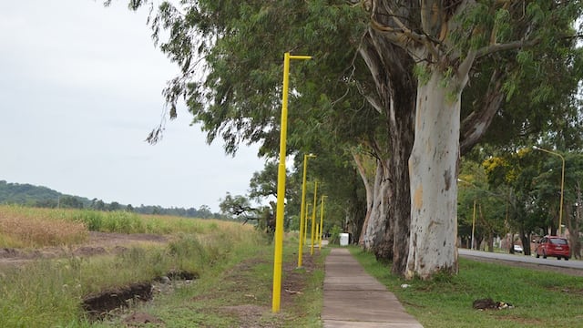 El tendido eléctrico de la ciclovía del acceso sur de San Pedro de Jujuy nuevamente fue objeto de robo: ladrones cortaron y se llevaron más de 150 metros de cables.