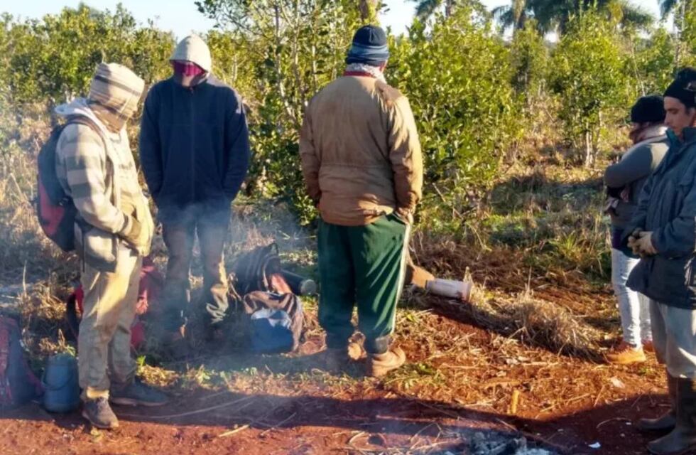 Realizaron inspecciones en chacras de Jardín América y Puerto Leoni