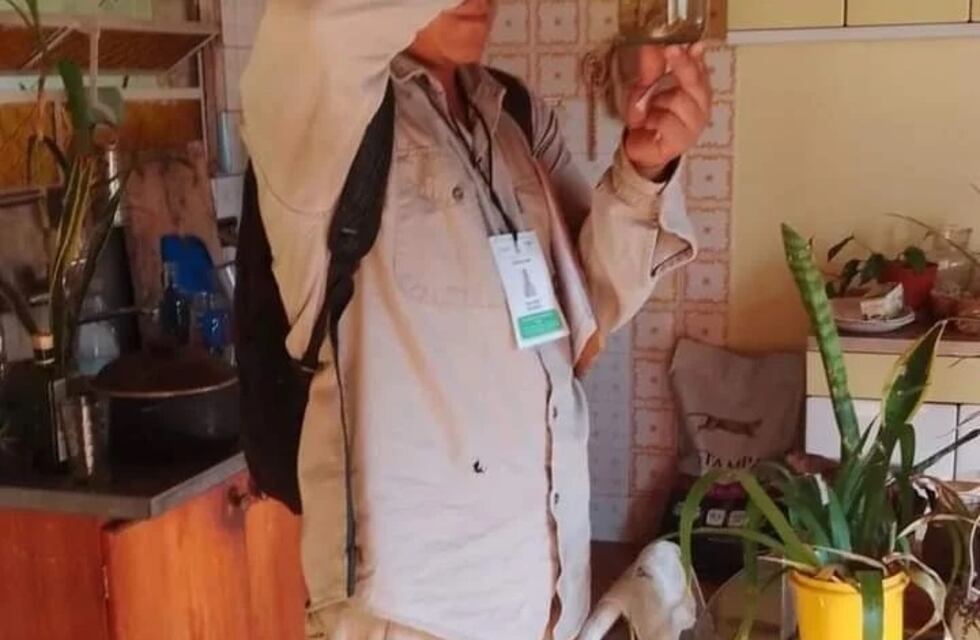 Ante los casos de chikungunya en Misiones, aconsejan reforzar la prevención